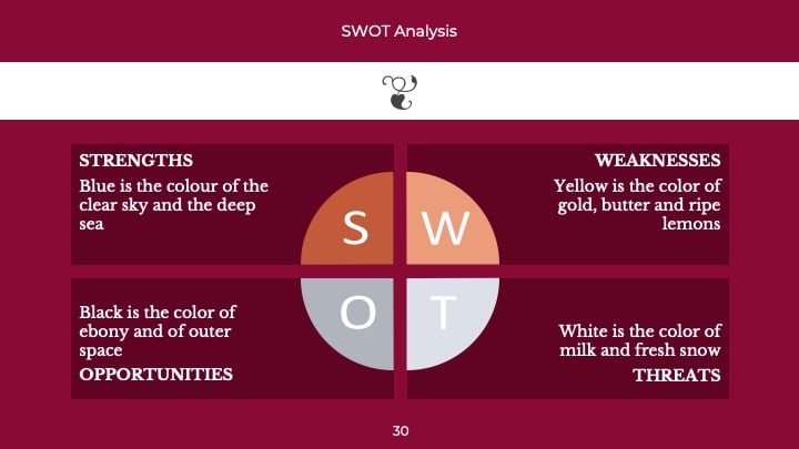 Classic Professional Slides - slide 30