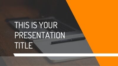 Premium Business Slides