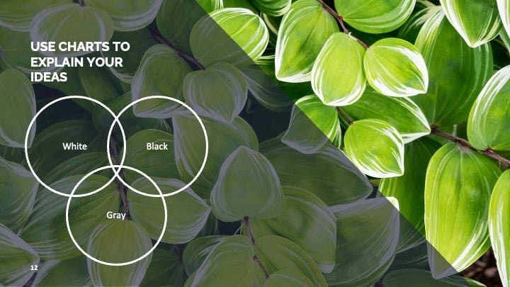 Plantillas Creativas con Fotos Grandes - diapositiva 12