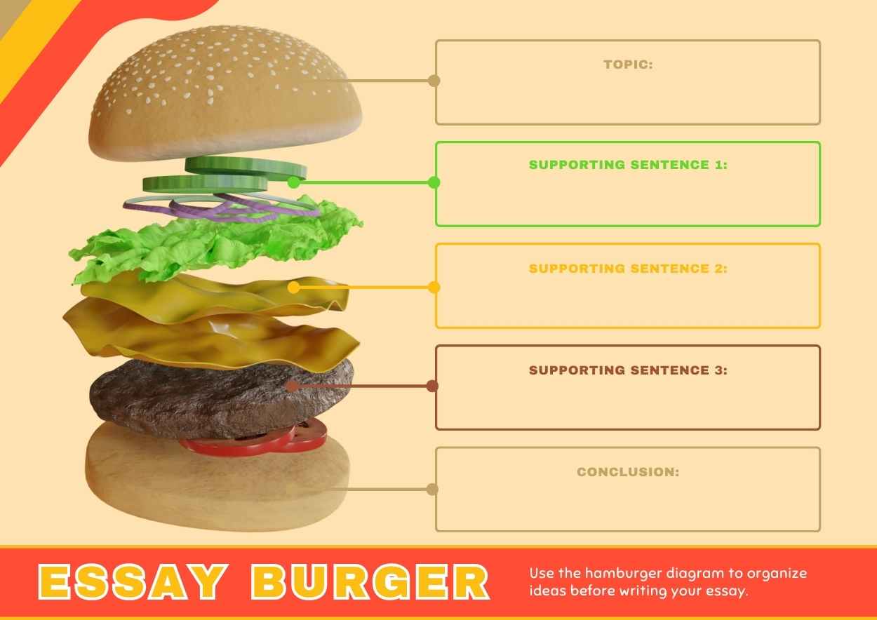 3D Hamburger Graphic Organizer - slide 1