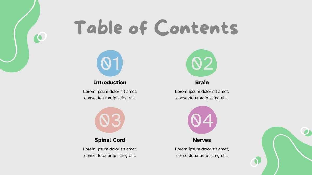 Abstract Anatomy of Nervous System Slides - slide 2