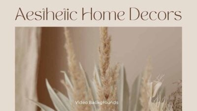 Aesthetic Home Decors Video Background