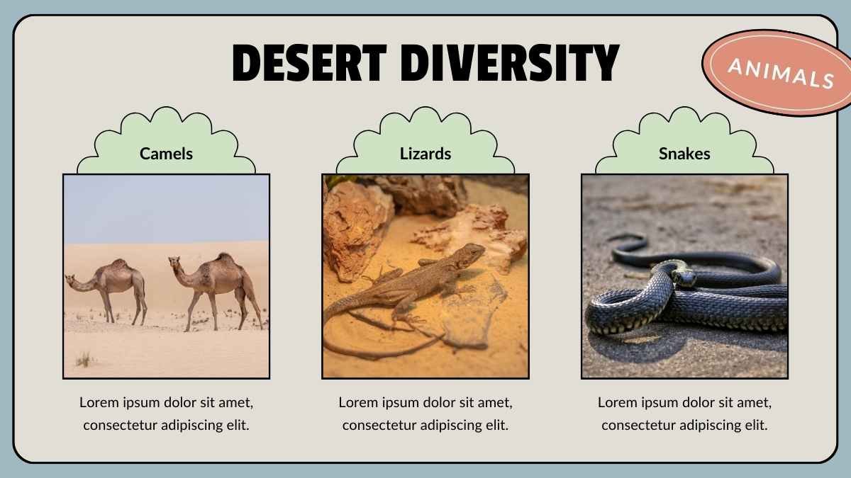 Animal Habitats Science Lesson for Elementary - slide 10