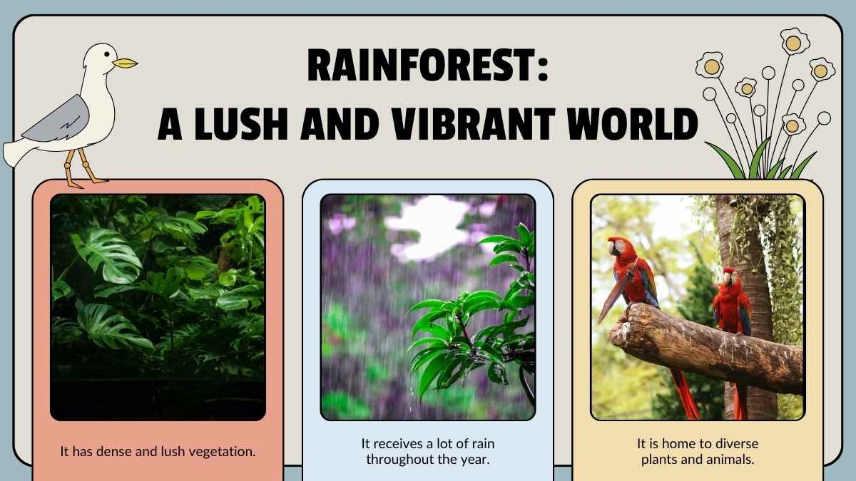 Animal Habitats Science Lesson for Elementary - slide 13