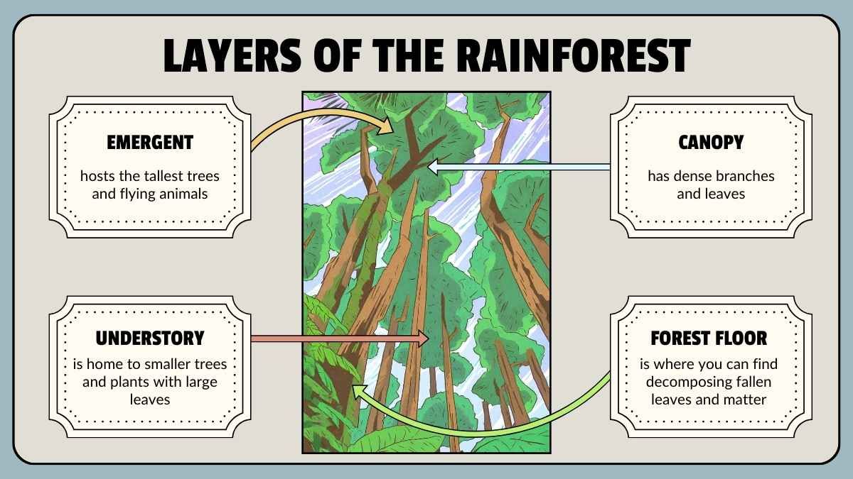 Animal Habitats Science Lesson for Elementary - slide 15