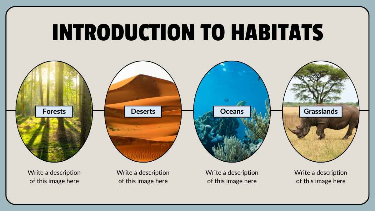 Animal Habitats Science Lesson for Elementary - slide 3