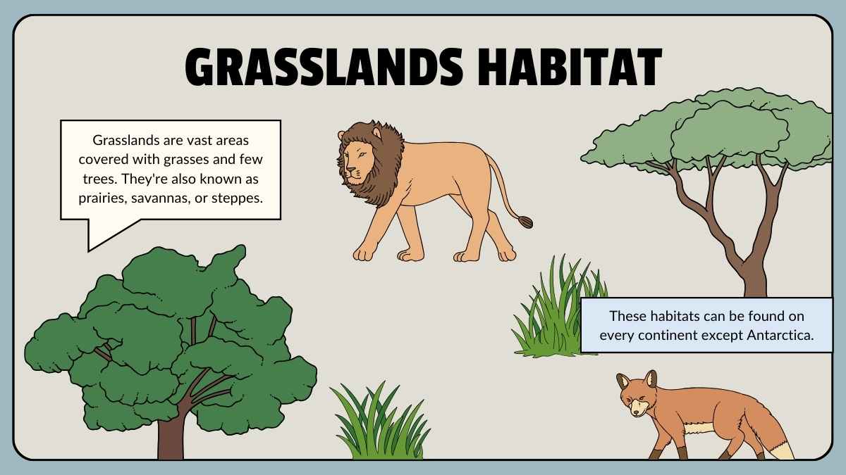 Animal Habitats Science Lesson for Elementary - slide 4