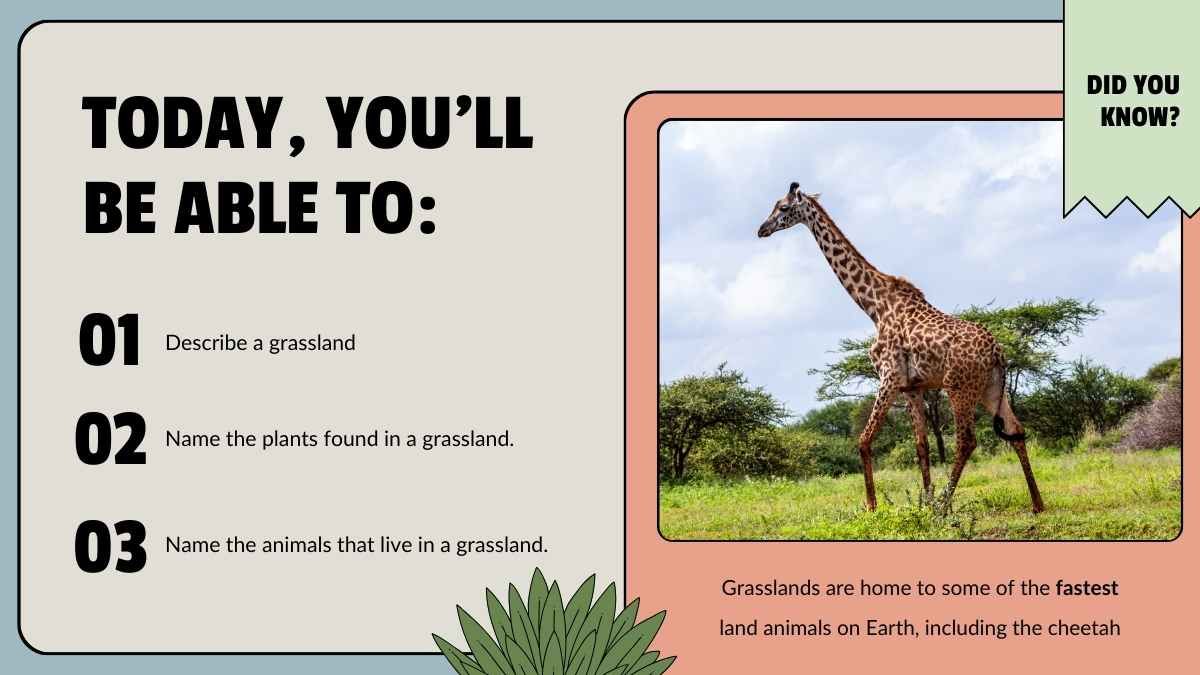 Animal Habitats Science Lesson for Elementary - slide 5