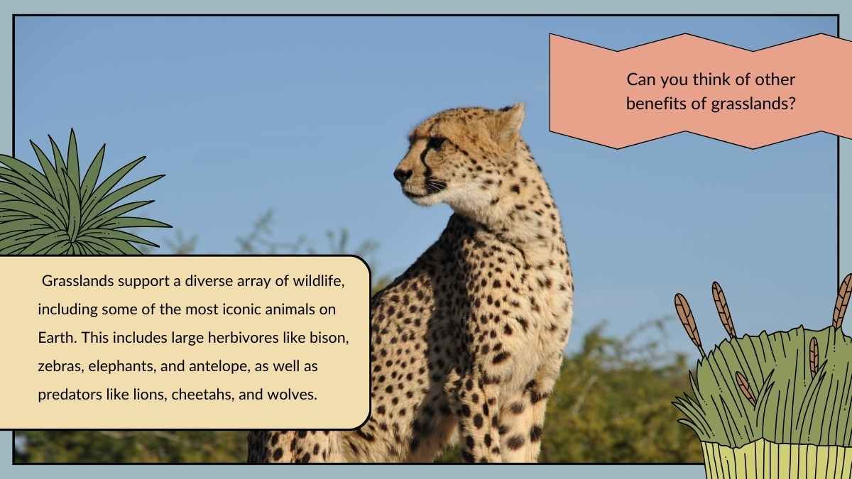 Animal Habitats Science Lesson for Elementary - slide 7