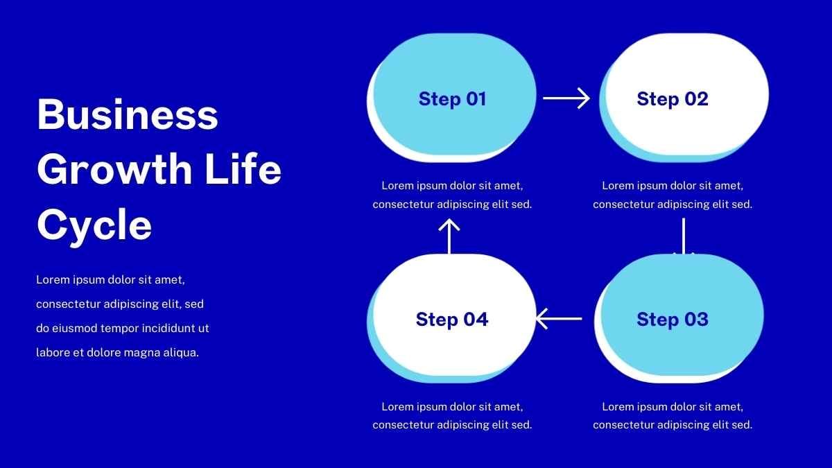 Animated Life Cycle Infographic - diapositiva 12