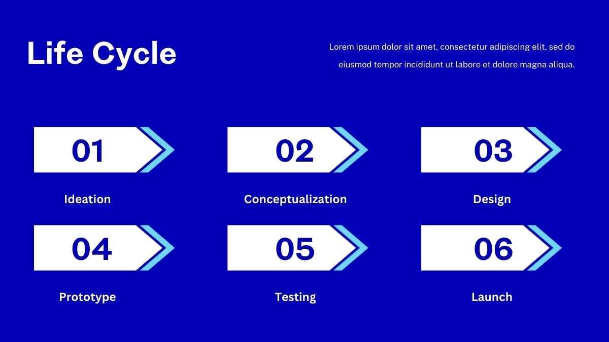 Animated Life Cycle Infographic - slide 4