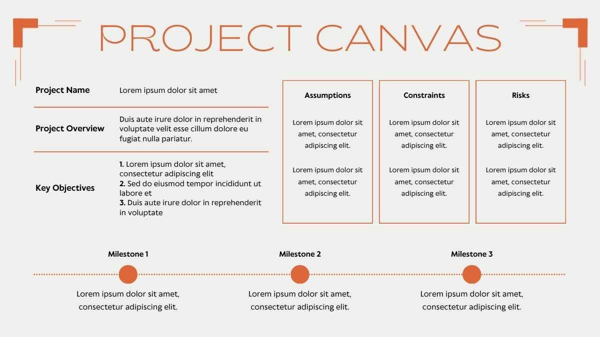 Animated Project Canvas Infographics - slide 14