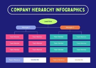 Basic Company Hierarchy Infographics