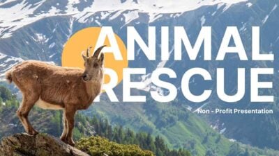 Simple Animal Rescue Slides