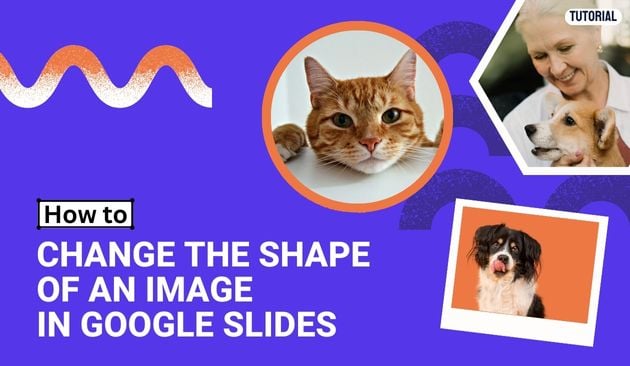 Blog How to change image shape