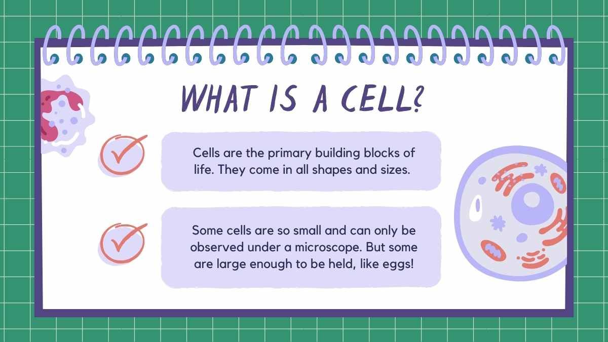 Cell Theory Science Lesson for Middle School - diapositiva 4