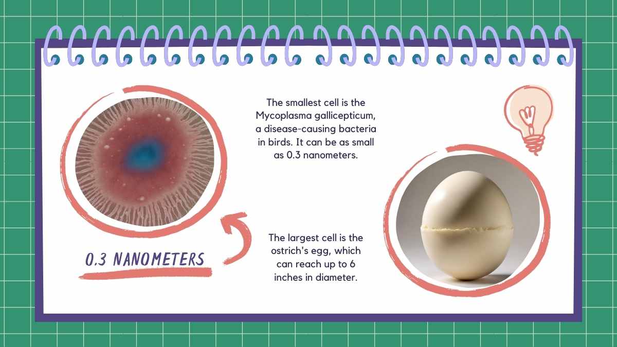 Cell Theory Science Lesson for Middle School - slide 5