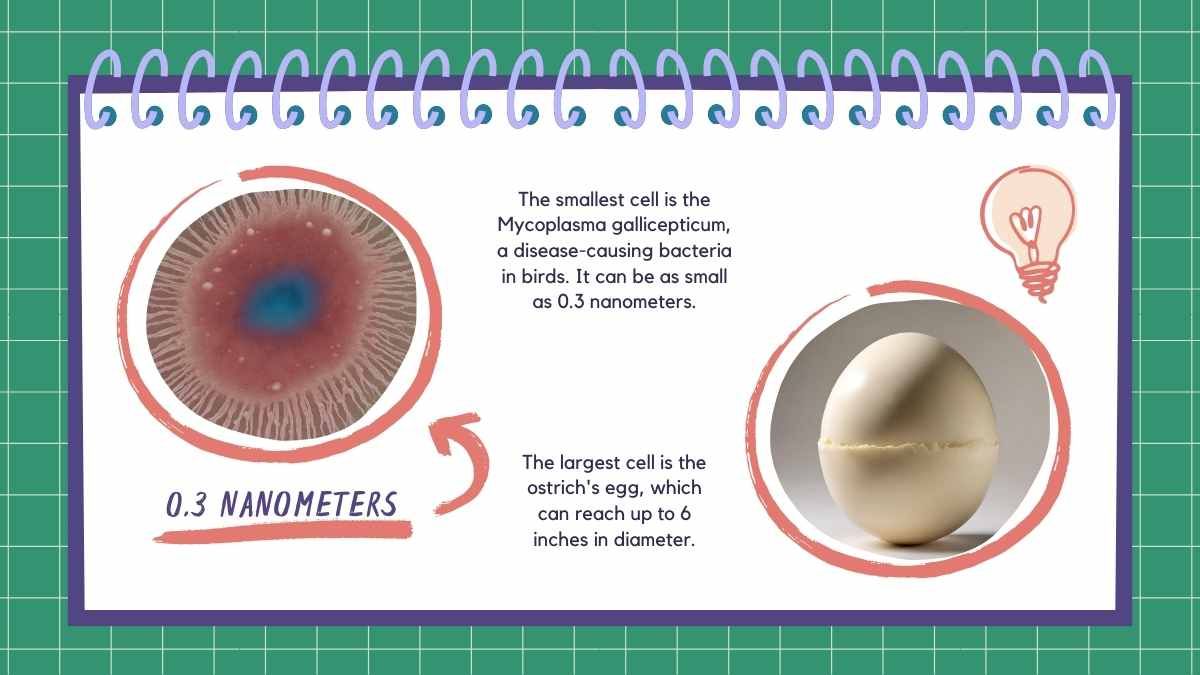 Cell Theory Science Lesson for Middle School - diapositiva 5