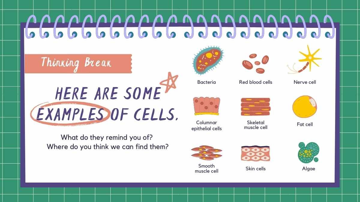 Cell Theory Science Lesson for Middle School - slide 6