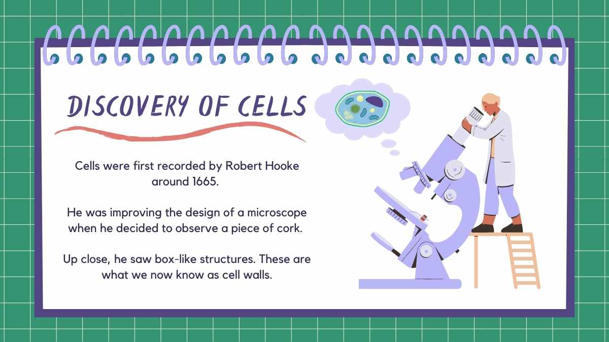 中学生向け細胞理論サイエンスレッスン✨ - slide 8