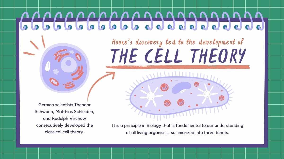 Cell Theory Science Lesson for Middle School - diapositiva 9