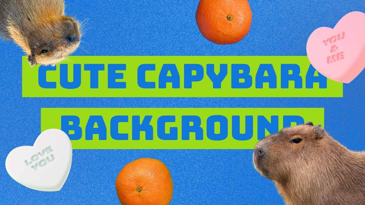 Collage Cute Capybara Background Slides - slide 1