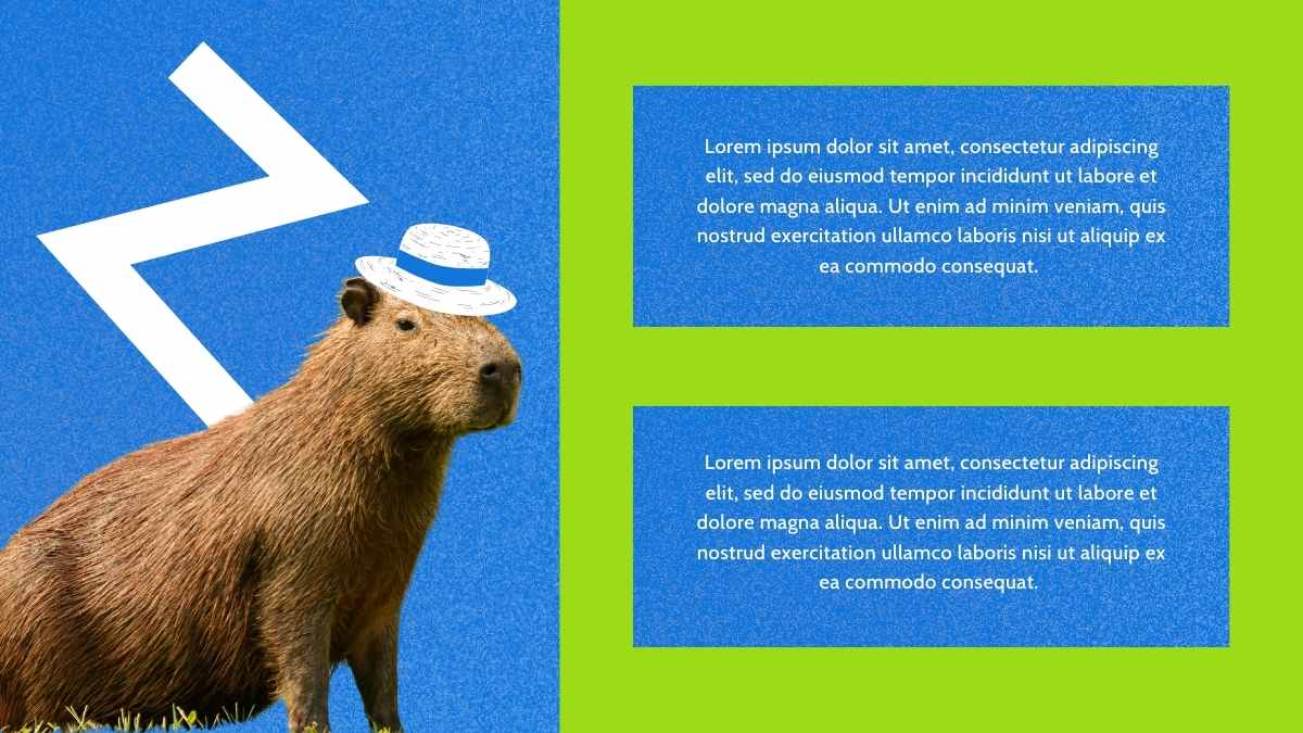 Collage Cute Capybara Background Slides - slide 8