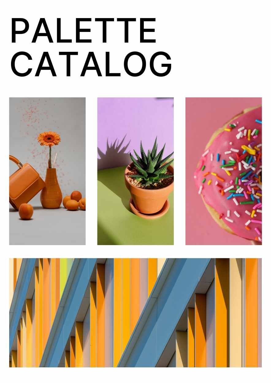 Creative Color Palettes Catalog - slide 5