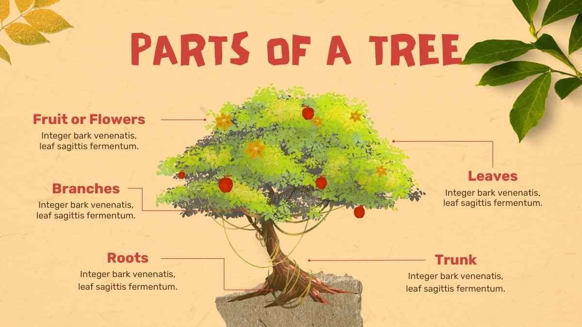 Creative Parts & Types of Trees Nature Lesson - slide 4