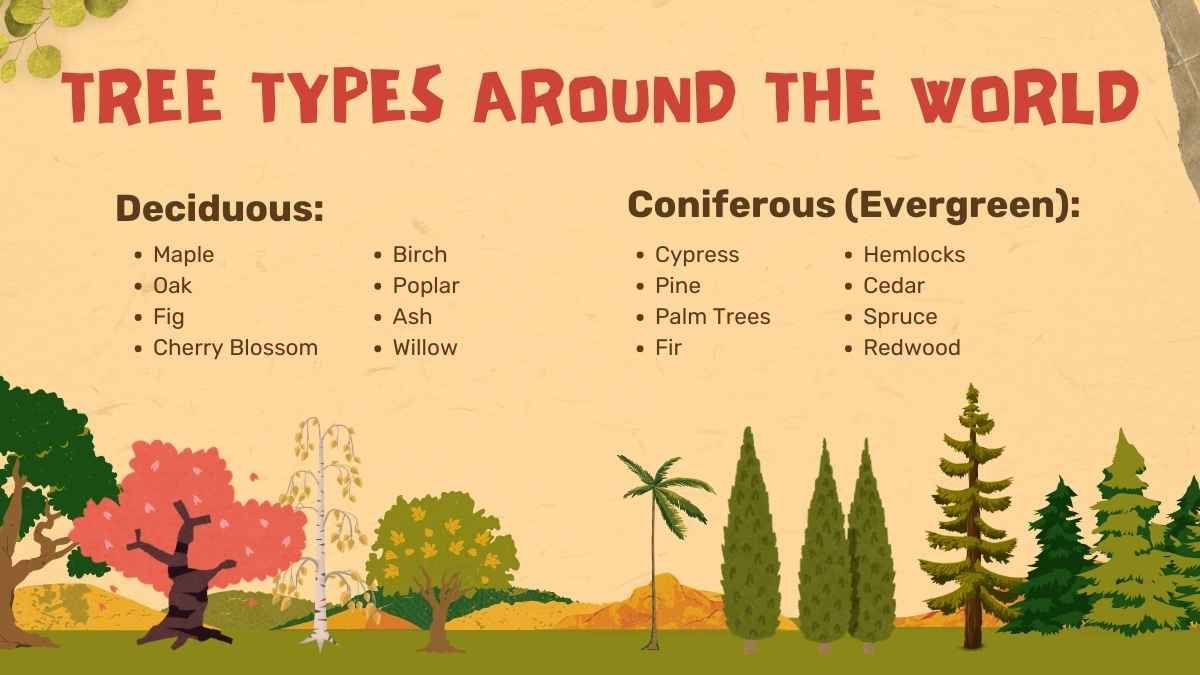 Creative Parts & Types of Trees Nature Lesson - slide 6