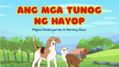 Cute Animated Ano ang mga Tunog ng Hayop Quiz Slides