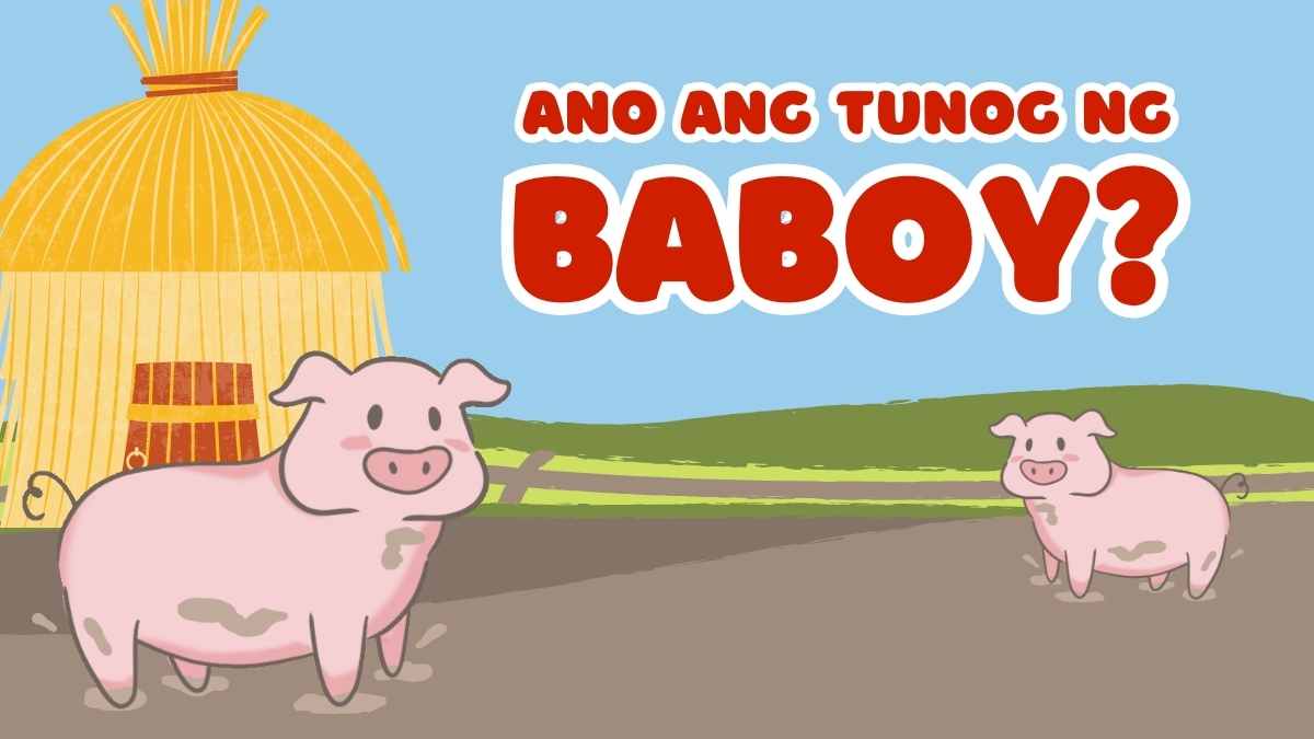 Cute Animated Ano ang mga Tunog ng Hayop Quiz Slides - slide 11