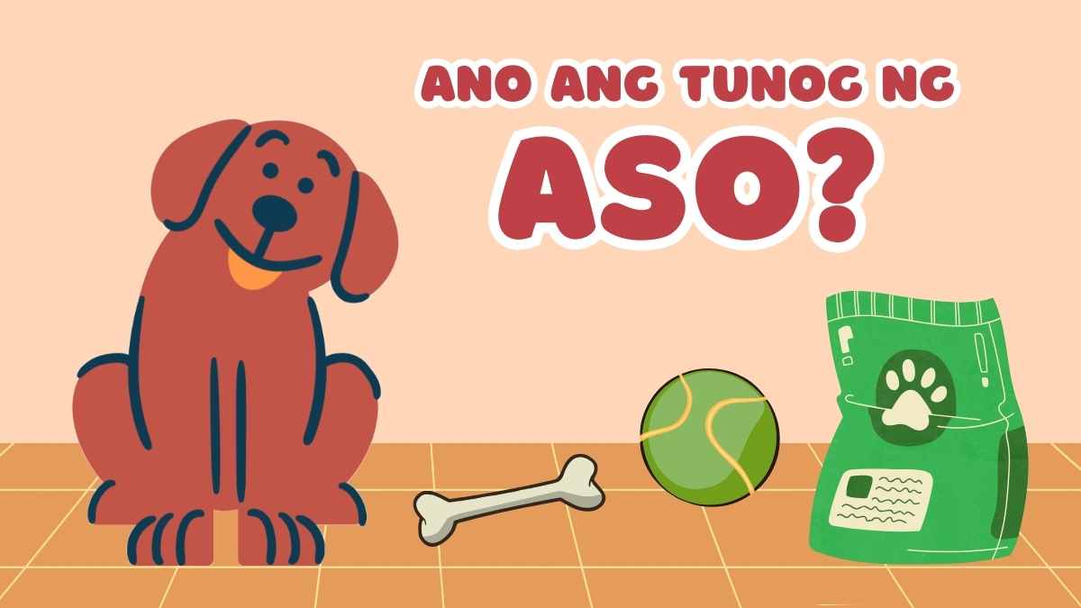 Cute Animated Ano ang mga Tunog ng Hayop Quiz Slides - slide 6