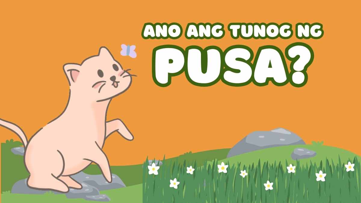 Cute Animated Ano ang mga Tunog ng Hayop Quiz Slides - slide 7