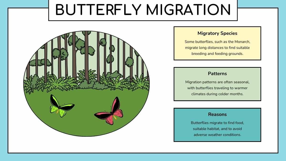 Cute Butterfly Life Cycle Infographic - diapositiva 13