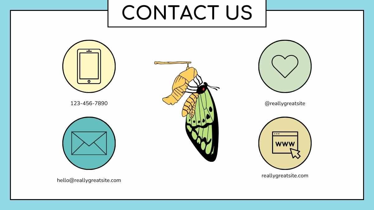 Cute Butterfly Life Cycle Infographic - diapositiva 14