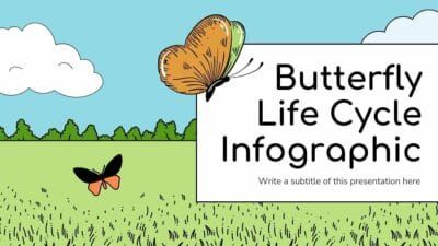 Slides Carnival Google Slides and PowerPoint Template Cute Butterfly Life Cycle Infographic 2