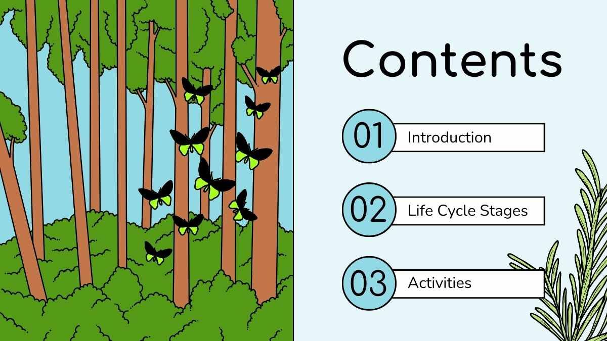 Cute Butterfly Life Cycle Infographic - slide 2