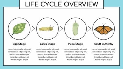 Slides Carnival Google Slides and PowerPoint Template Cute Butterfly Life Cycle Infographic 4