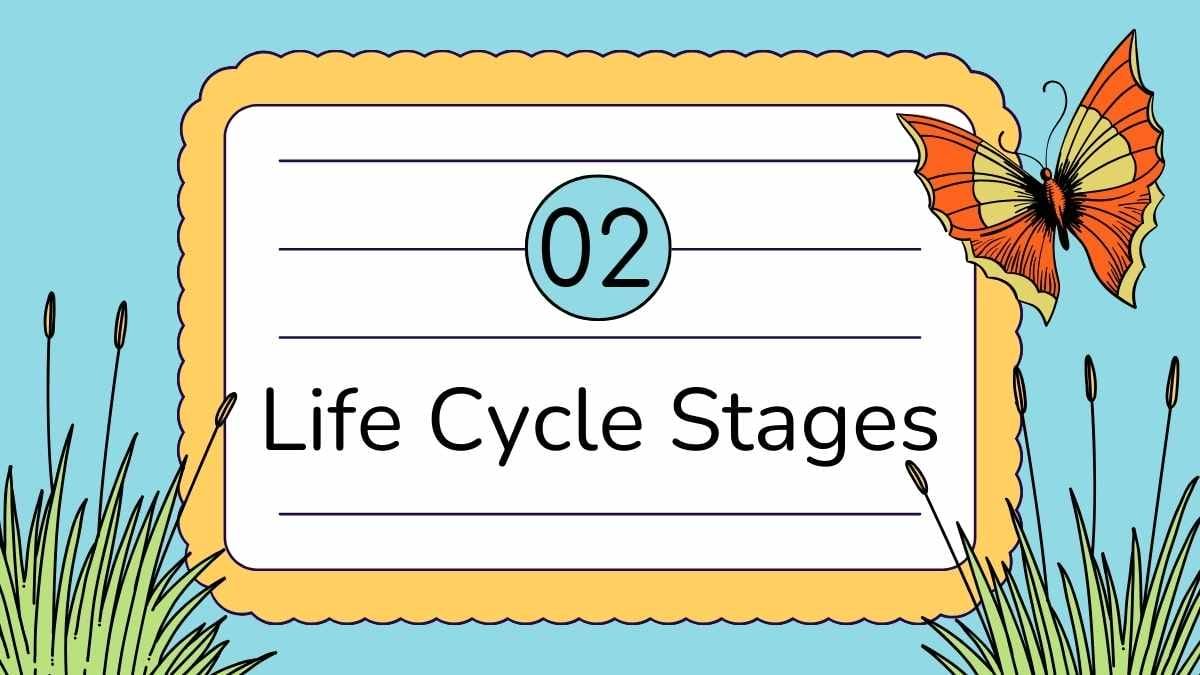 Cute Butterfly Life Cycle Infographic - slide 7