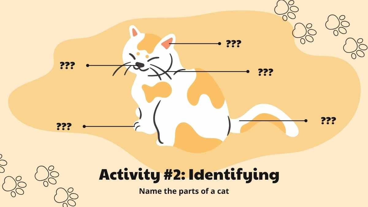 Cute Cat Activity Lesson Plan Slides - slide 9