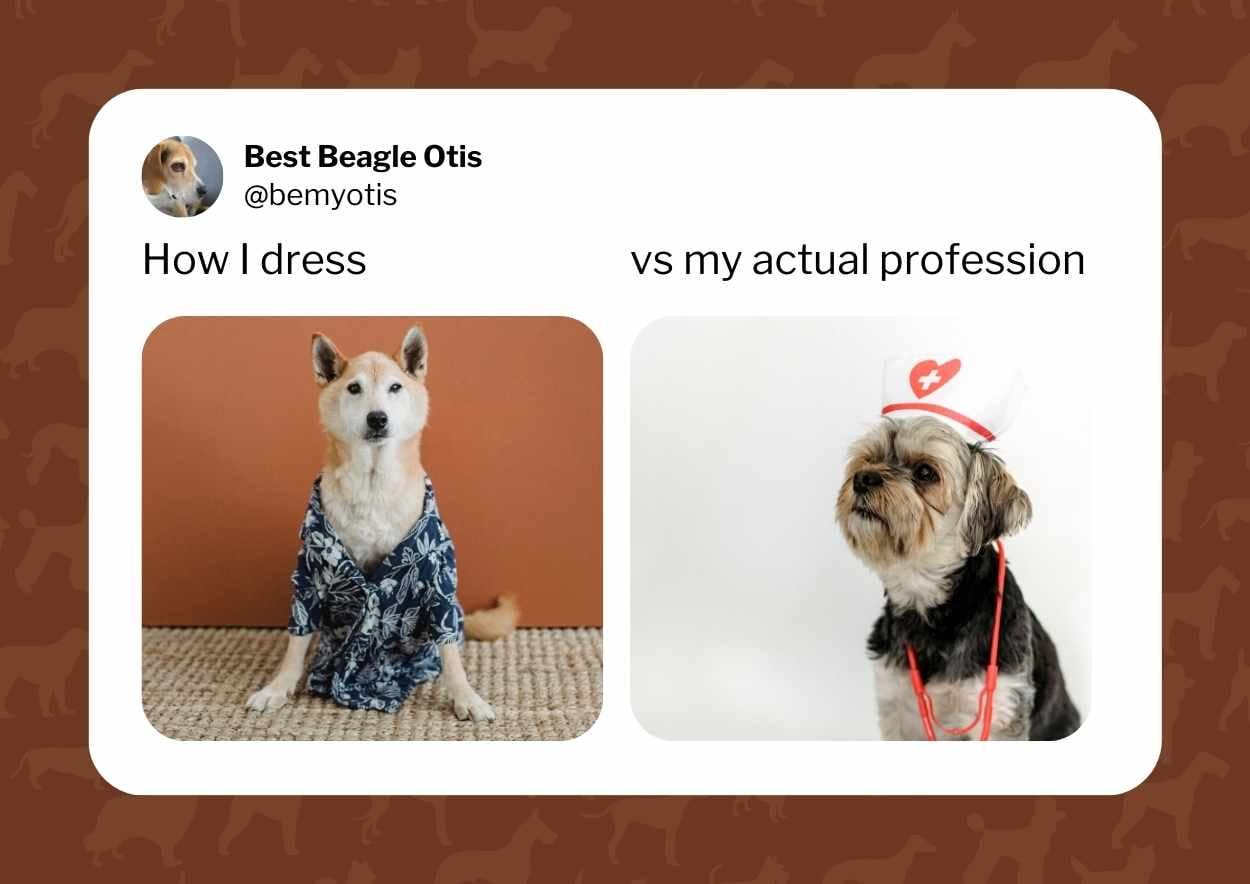 Cute Dog Meme Slides - slide 6