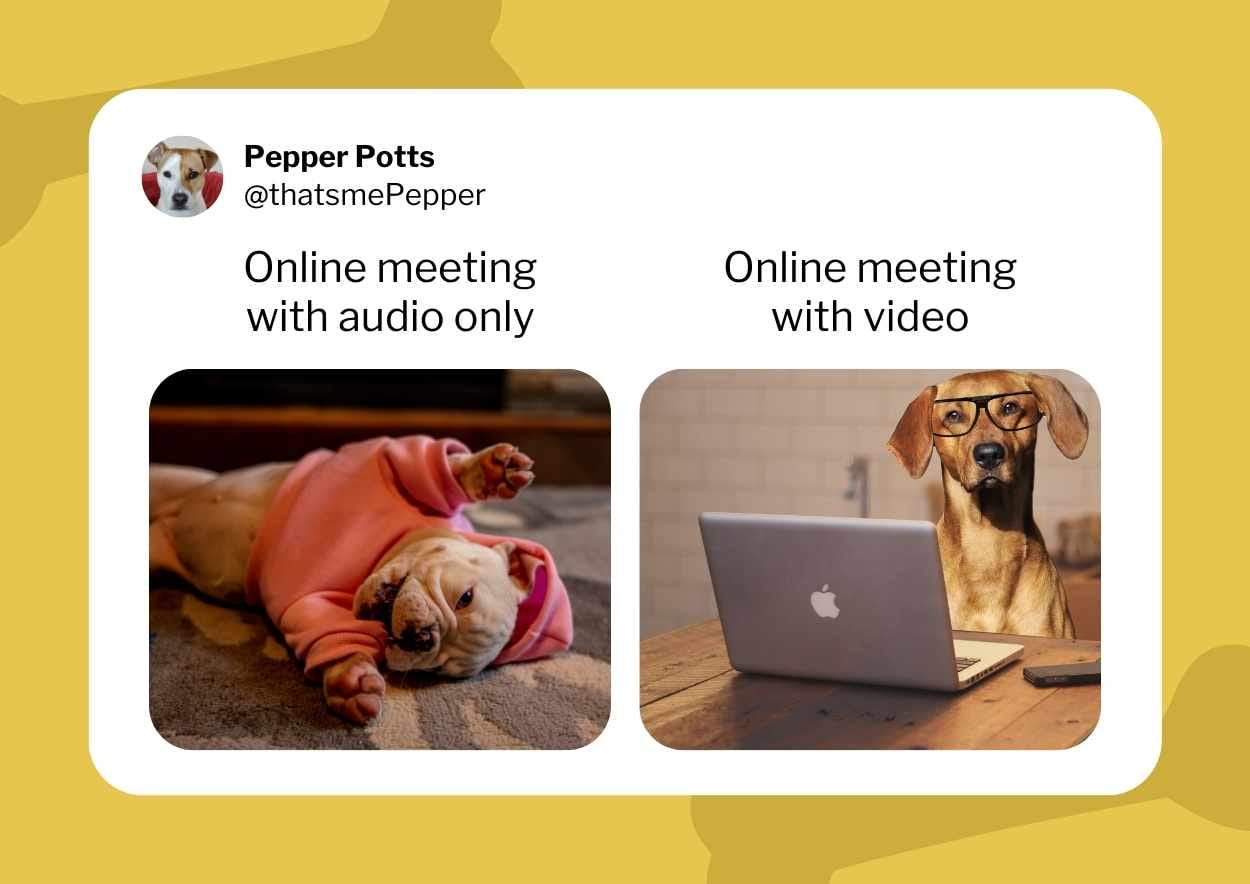 Cute Dog Meme Slides - slide 7