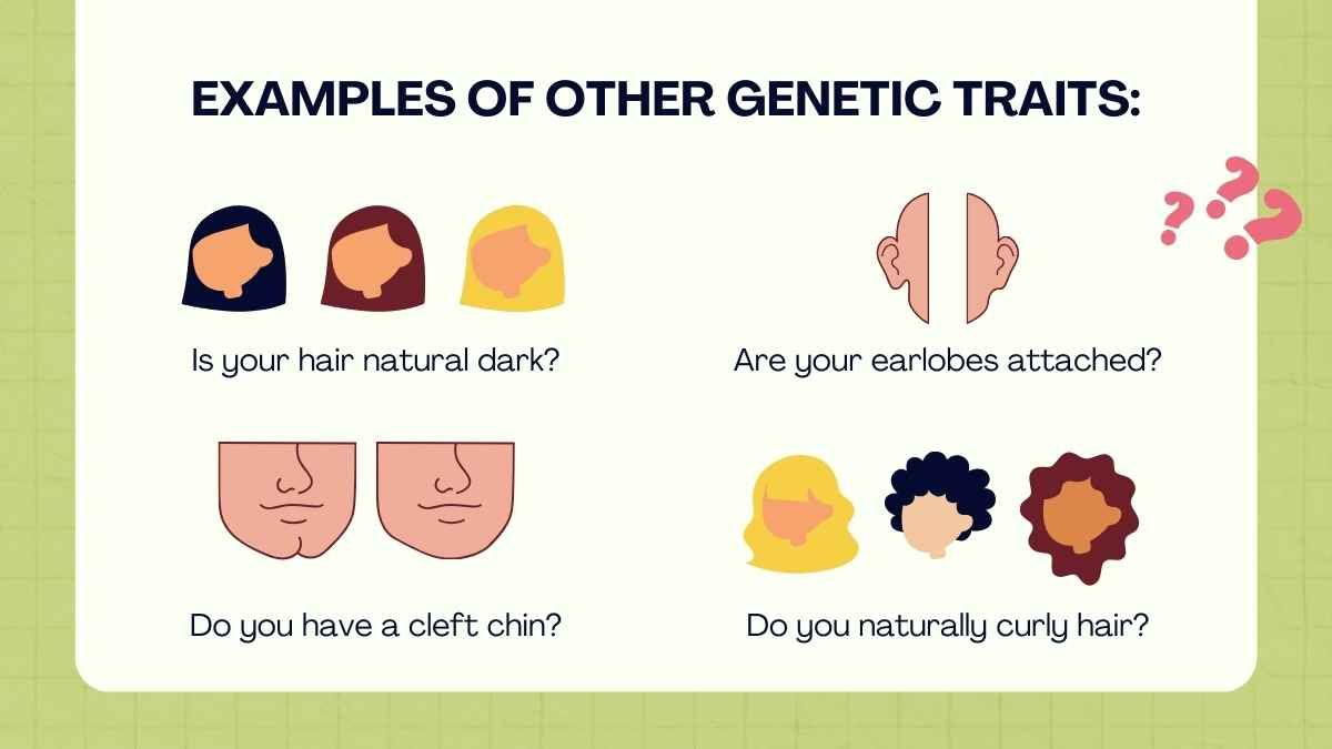 Cute Genetic Traits and Inheritance Lesson for Middle School - diapositiva 13