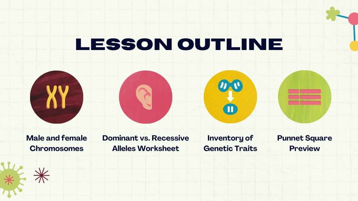 Cute Genetic Traits and Inheritance Lesson for Middle School - diapositiva 2