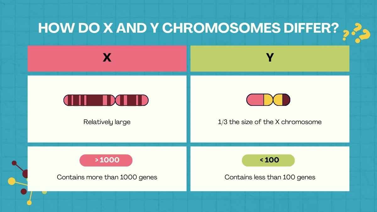 Cute Genetic Traits and Inheritance Lesson for Middle School - diapositiva 6