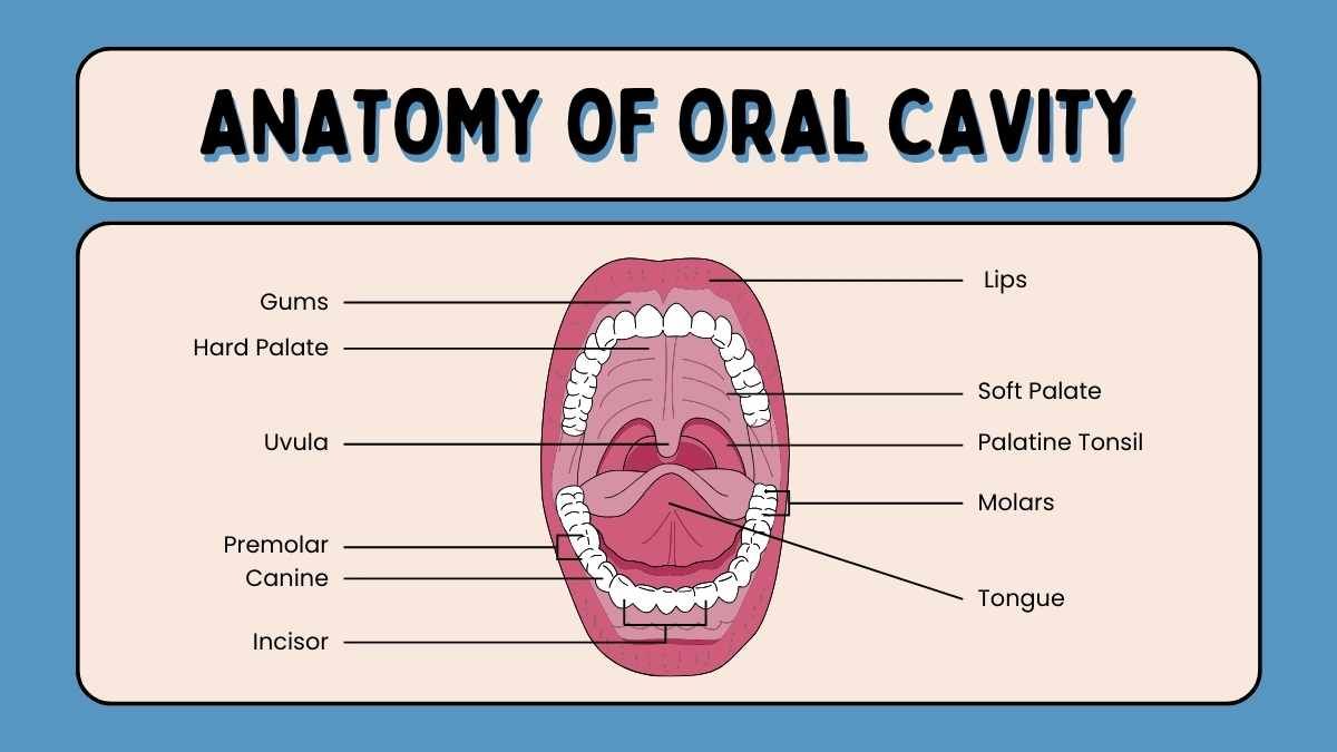 Cute Illustrated Oral Cavity Infection Lesson - diapositiva 4