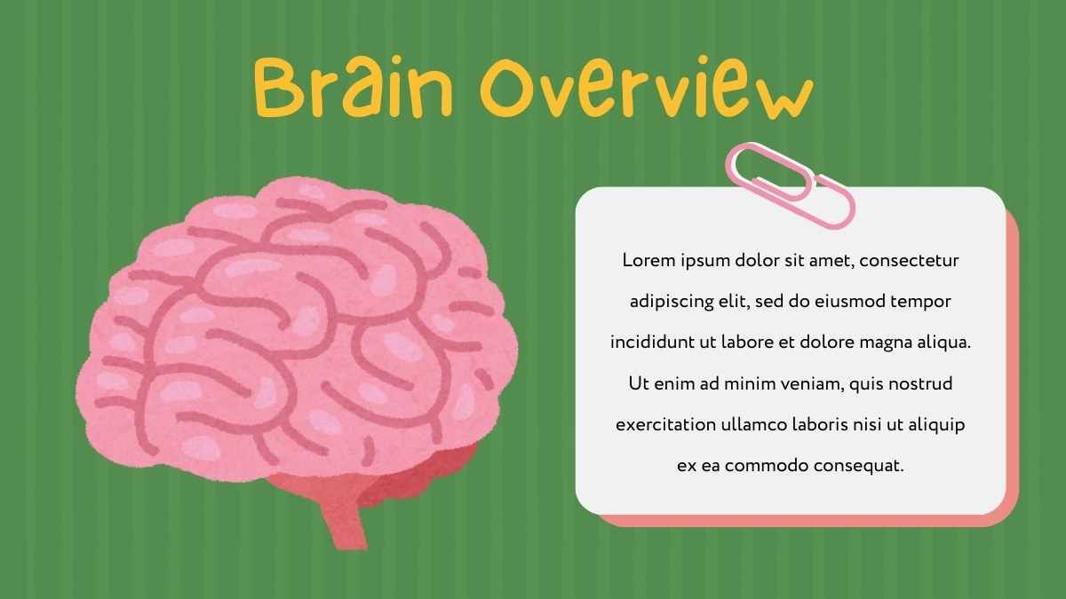 Cute Illustrated Slides About The Brain - slide 4