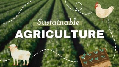 Cute Illustrated Sustainable Agriculture Slides