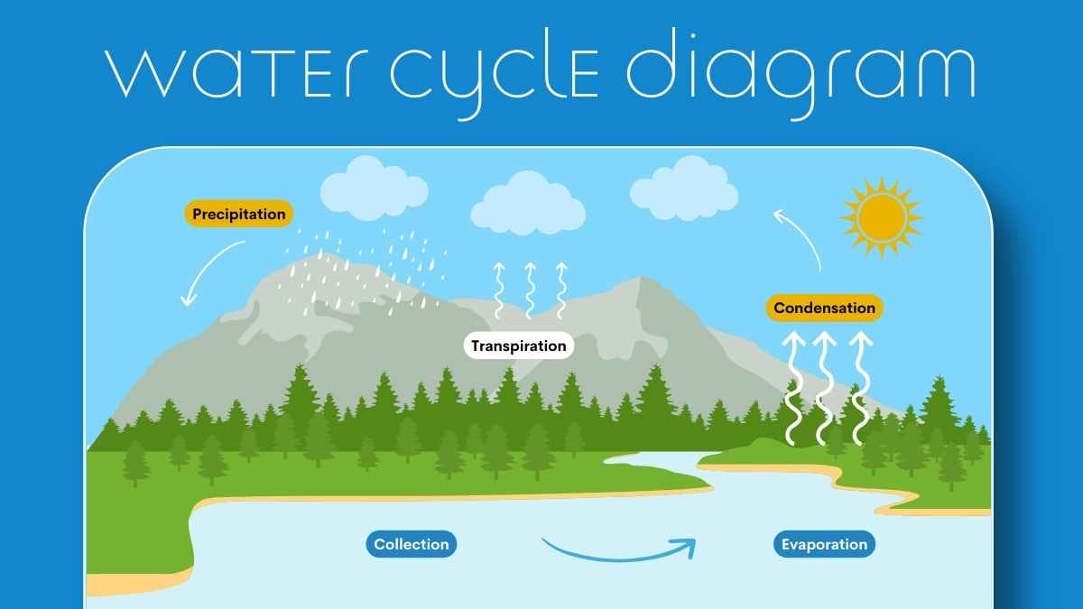 Cute Illustrated Water Cycle Slides - slide 4